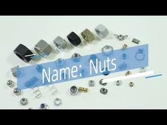 Đầu chìm nội thất hợp kim kẽm Nut China Nuts